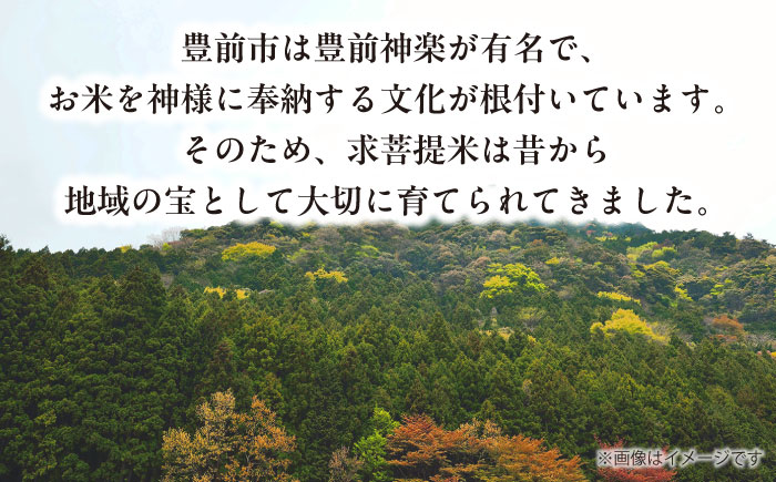 【全6回定期便】 求菩提米　夢つくし　10kg (5kg×2袋)《豊前市》【アグリネックス】米 お米 白米 [VCO010]