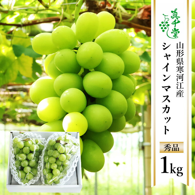 【ふるさと納税】令和8年産 ぶどう「シャインマスカット」1kg 秀品 山形県産【2026年9月上旬頃から10月中旬頃発送予定】 ※配送不可 沖縄・離島 2026年産 山形産 果物 フルーツ 葡萄 グレープ 産地直送 新鮮 真千堂 東北 送料無料
