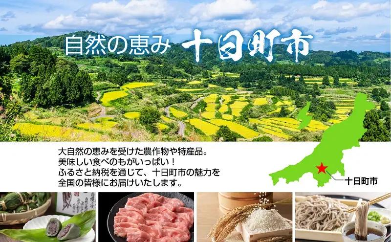 笹だんご ミニ 25g×20個 冷凍 つぶあん 笹だんご