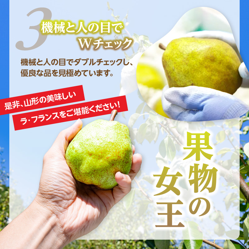 《先行受付》ラフランス 約2kg（4～8玉） 【2026年11月上旬頃～発送予定】【山形洋梨】