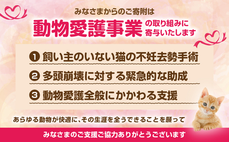 【返礼品なし】動物愛護に関することへの応援寄附(10,000円)_B001-068