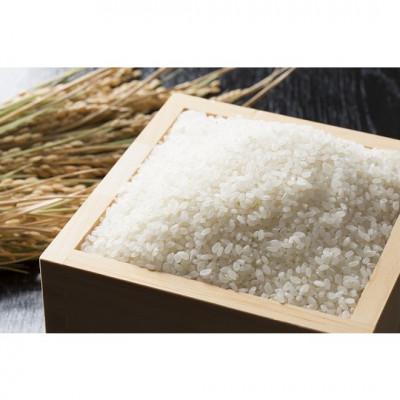 ふるさと納税 旭川市 【北海道旭川市】令和7年産ゆめぴりか5kg(無洗米 真空パック)_05240 |  | 01