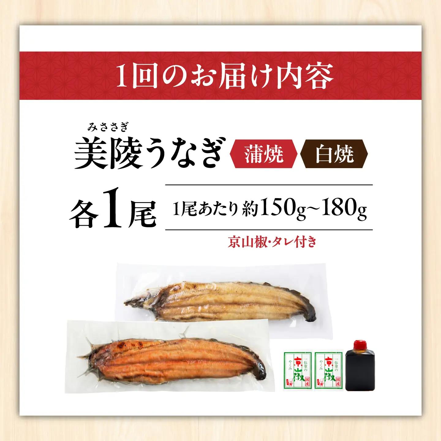 【全6回】鰻 鰻の蒲焼1尾×白焼1尾 紅白セット BLAM010