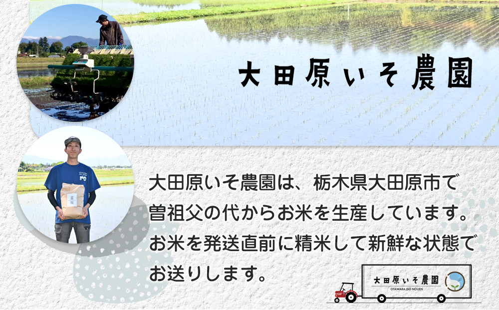 ≪2026年10月中旬以降発送≫令和8年産 栃木県大田原市産コシヒカリ「富米」 無洗米　5キロ ｜米 お米  無洗米 コメ こしひかり 5kg