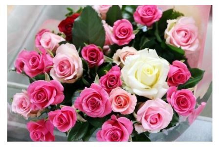 バラ 約20本 生産者直送 有機栽培で育った朝切りバラの花束