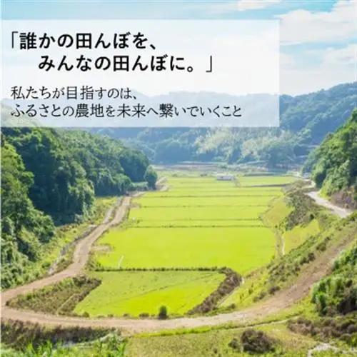 令和8年産(2026年産)新米!小浦れんげ米(にじのきらめき)【玄米】10kg【1684646】