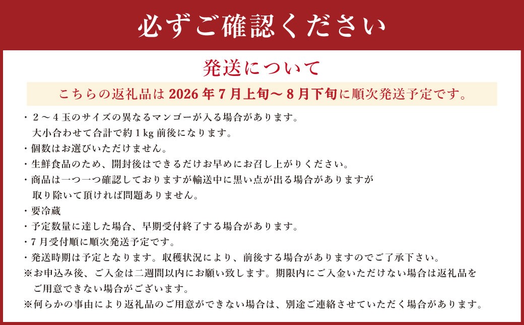 熊本県産 完熟マンゴー (家庭用) 約1kg前後