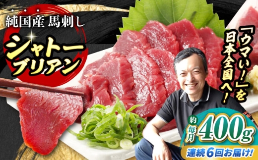 【全6回定期便】『純国産』熊本の味 赤身 馬刺し シャトーブリアン 計約400g（約200g×2パック） チルド 冷蔵 / 熊本 馬刺し 馬刺 ばさし バサシ 馬さし 馬肉 シャトーブリアン タレ付き ヘルシー【有限会社 九州食肉産業】 [AYCN066]