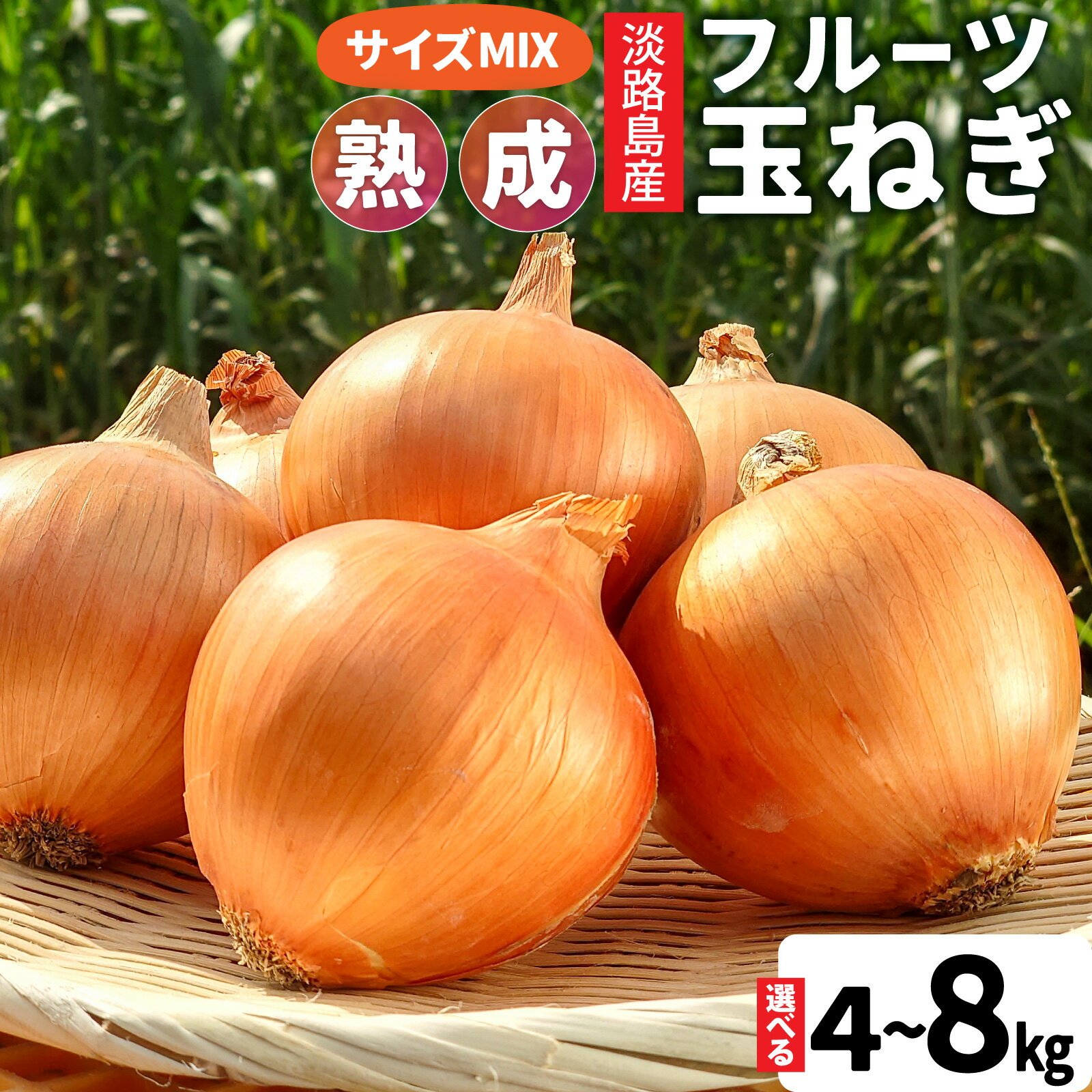 【ふるさと納税】淡路島産 フルーツ玉ねぎ 選べる種類容量 【熟成 / 新玉】【4kg / 8kg】 サイズ色々 【レビューキャンペーン実施中】/ 淡路 淡路島 あわじ 玉ねぎ タマネギ 玉葱 淡路島産玉ねぎ カレー シチュー バーベキュー 料理 スープ サラダ人気 訳あり 料理 送料無料