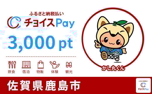 
            鹿島市チョイスPay 3,000pt【会員限定のお礼の品】
          