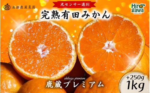 鹿蔵の 有田 みかん プレミアム 1kg+250g(傷み補償分) 光センサー 選果 / 温州みかん 有田みかん 甘い 高級 厳選 和歌山 柑橘 ※11月中旬〜1月下旬に順次発送 ※北海道・沖縄・離島への配送不可【ikd004-prem-1B】