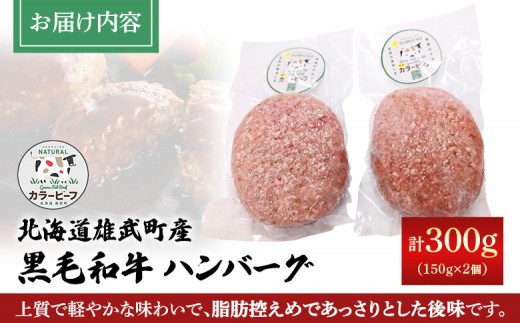 【カラービーフ】黒毛和牛ハンバーグ（150gｘ2個）