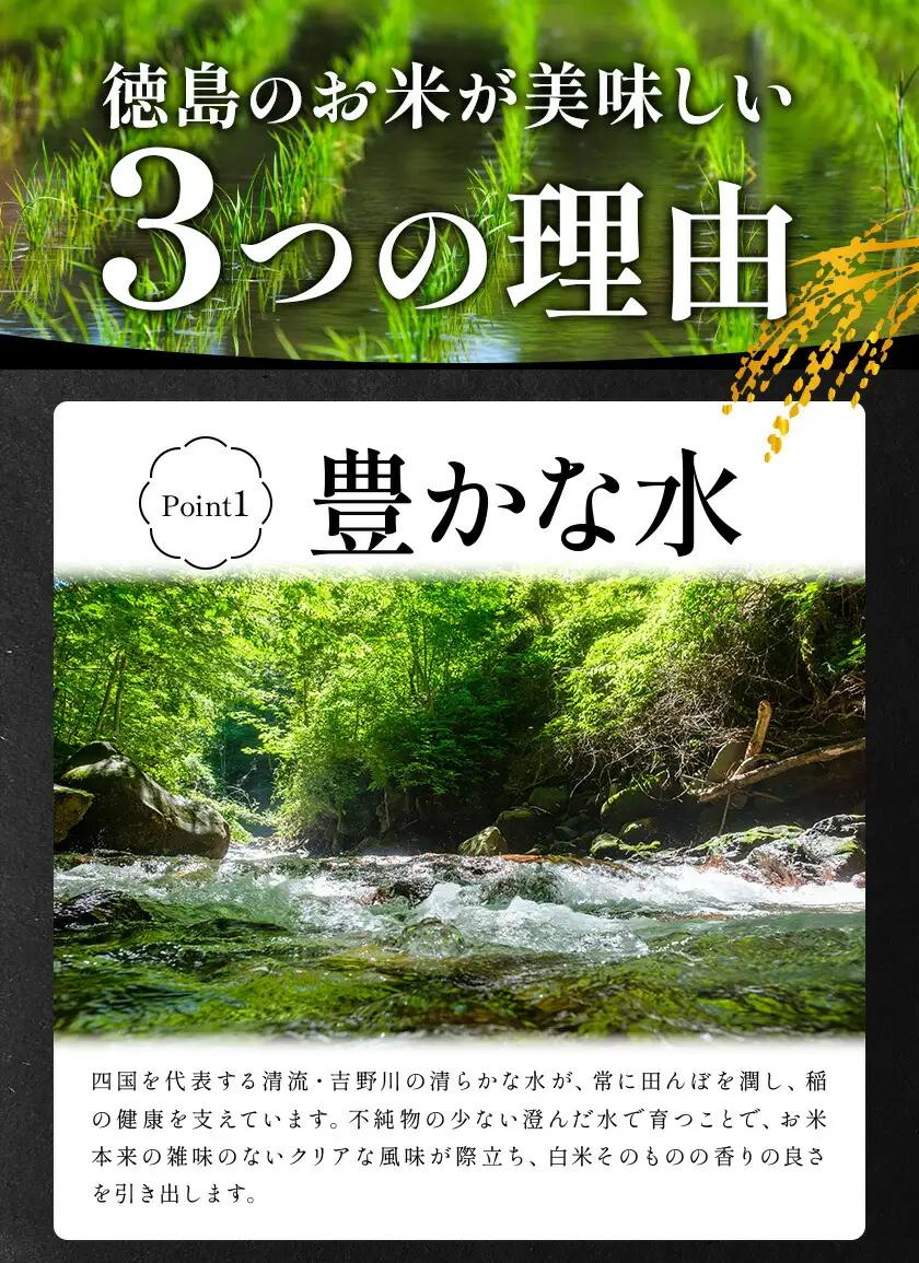 【7月上旬発送】 徳島ふるさと実り米 精米 5kg 