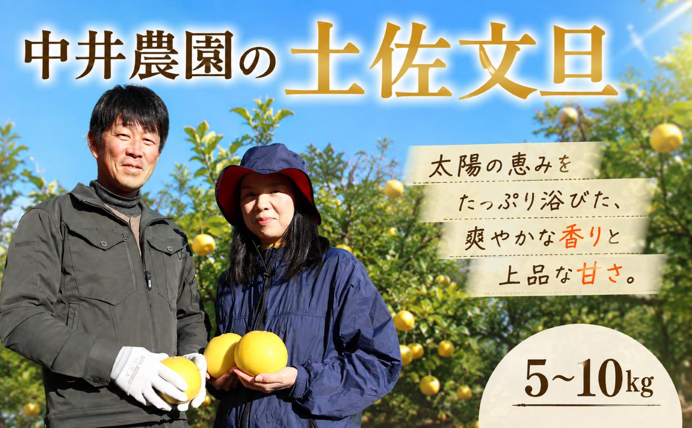 
                  文旦 選べる 5kg 10kg 家庭用 贈答用 土佐文旦 ぶんたん みかん 高知 フルーツ スイーツ 蜜柑 お裾分け デザート 柑橘 ジャム お菓子 中井農園 宿毛市 高知県
                
