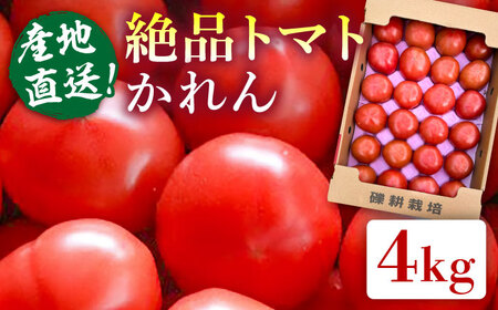 【先行受付】糸島産 絶品 トマト かれん ( 4kg 28玉 前後 ) 【2026年11月上旬以降順次発送】 糸島市 / シーブ [AHC019] 大玉トマト 野菜
