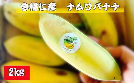 今帰仁村産ナムワバナナ（農薬不使用）2kg