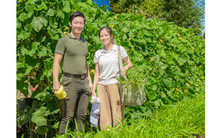 No.332 河南町新鮮アジア野菜「お手軽セット」