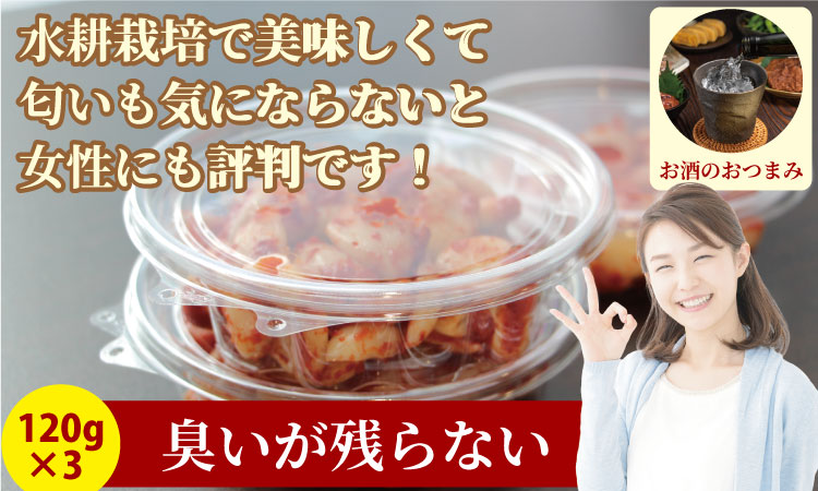 発芽ニンニクのピり辛キムチ漬け（3パック）健康志向 無臭  にんにく 社会福祉 臭いが少ない ニンニク
