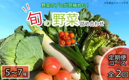 定期便 年2回 新鮮 旬の野菜セット 5から7品目 野菜 野菜 野菜 野菜 野菜 野菜