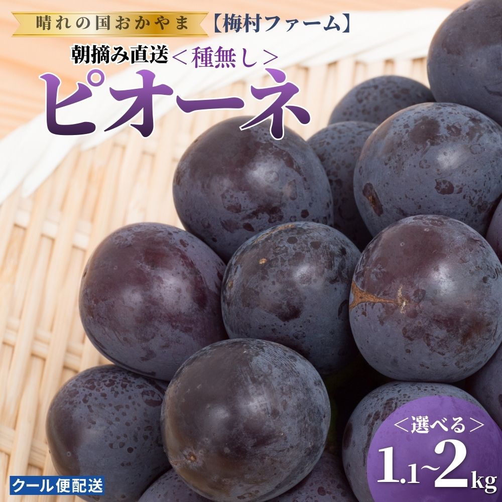 【ふるさと納税】【2026年発送 先行予約】＜選べる容量＞【梅村ファーム】朝摘み直送 ピオーネ 1.1〜2kg【030-a020-sku】