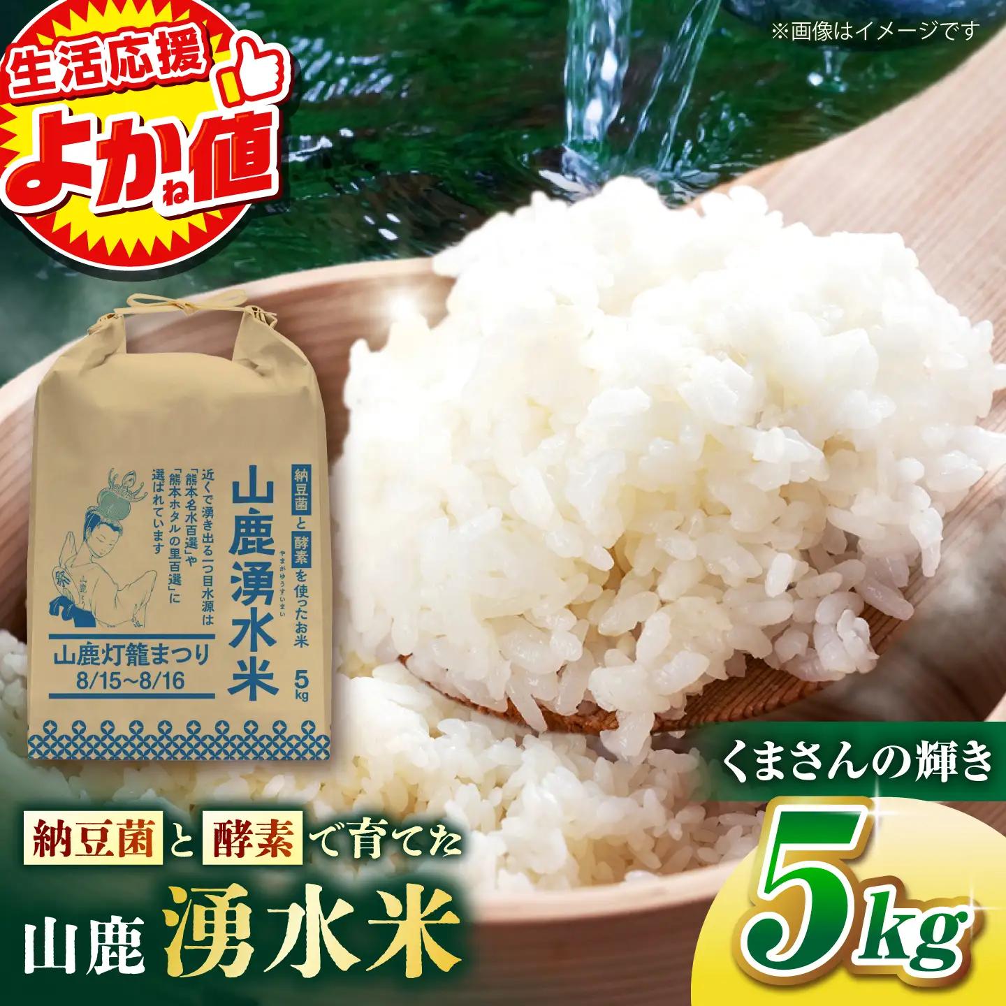 先行予約令和8年産 白米 5kg くまさんの輝き ZFO002