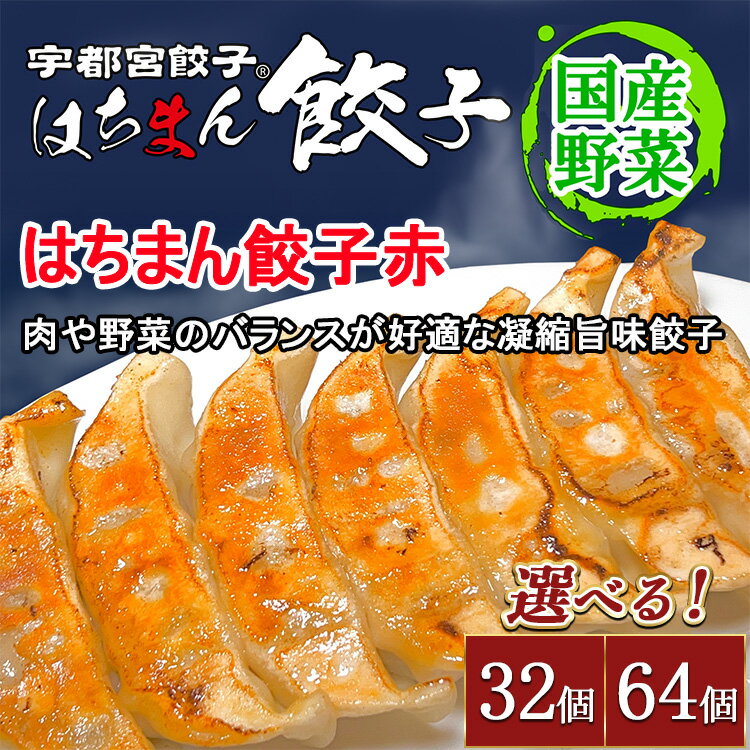【ふるさと納税】【選べる内容量】宇都宮餃子 はちまん餃子 赤 肉汁餃子 ｜ 宇都宮餃子 国産野菜 グルメ 宇都宮市 肉餃子 餃子 ぎょうざ ギョーザ 野菜 冷凍食品 冷凍餃子 焼き餃子 水餃子
