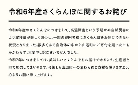 《先行予約》 さくらんぼ 佐藤錦 特秀2Lサイズ プレゼント ギフト 化粧箱入 300g 2025年産 令和7年産 山形県産 ns-snt2x300