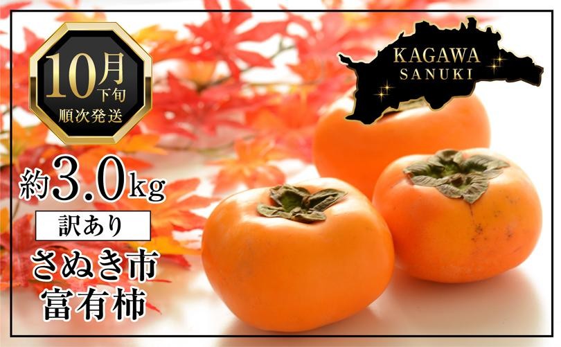 
                  訳あり 富有柿 約3kg(約8個～15個) 柿 かき 果物 フルーツ
                