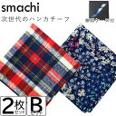 【ふるさと納税】smachi(スマチ) ノンアイロンハンカチ メンズ 2枚 Bセット【VB01442】