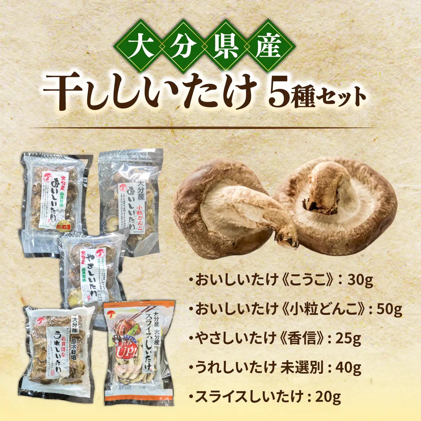 干ししいたけ 詰め合わせ5点セット！大分県産干し椎茸 椎茸 どんこ こうこ こうしん スライス 日田市 / 高木商店[AREX004]