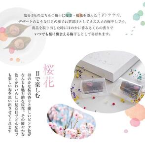 紀州南高梅 うめララカ 桜葉と桜花を添えて【ギフト 化粧箱入り 贈答用】