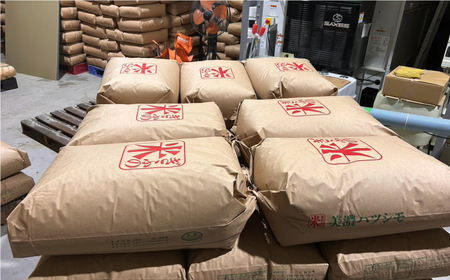 令和7年産 ハツシモ 白米 10kg 精米 米 ブランド米 岐阜市 / 川瀬ファーム[ANIB002]