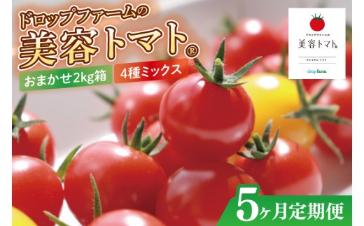 【5ヶ月定期便】【11月より順次発送】ドロップファームの美容トマトおまかせ2kg箱(４種ミックス)【とまと フルーツトマト 野菜ソムリエ 朝採れ アイコ イエローアイコ 小鈴 フルティカ 野菜 フレッシュ リコピン 大容量 茨城県 水戸市】（CK-20）
