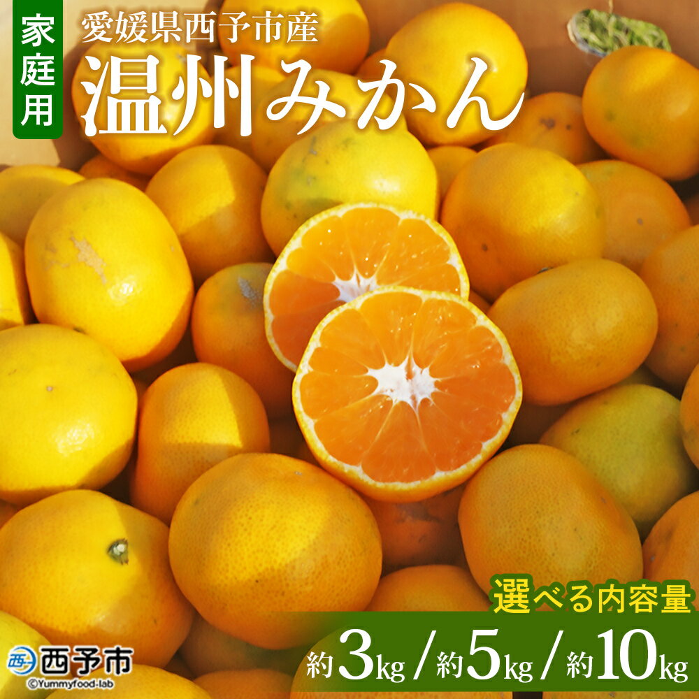 【ふるさと納税】＜愛媛県西予市産 温州みかん 家庭用 約3kg／5kg／10kg ＞ 果物 くだもの うんしゅうみかん ウンシュウミカン ミカン 蜜柑 柑橘 フルーツ 自宅用 訳あり 旬 特産品 産地直送 段畑みかん 愛媛県 西予市【常温】『2026年10月中旬～11月中旬迄に順次出荷予定』