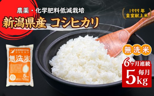 16-M056【6ヶ月連続お届け】新潟県胎内市産コシヒカリ【無洗米】5kg