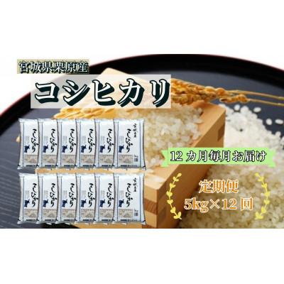 ふるさと納税 栗原市 【毎月定期便】コシヒカリ白米5kg 宮城県栗原産全12回