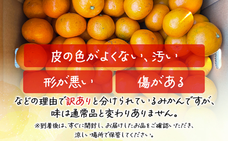 【訳あり】山北みかん 露地(Ｓ～Ｍ)Ｂ品 5kg【訳ありみかん 小玉みかん 山北みかん 皮が薄い みかん 人気 露地みかん おすすめ】 th-0019