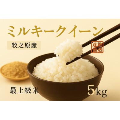ふるさと納税 牧之原市 至高のミルキークイーン(白米)5kg