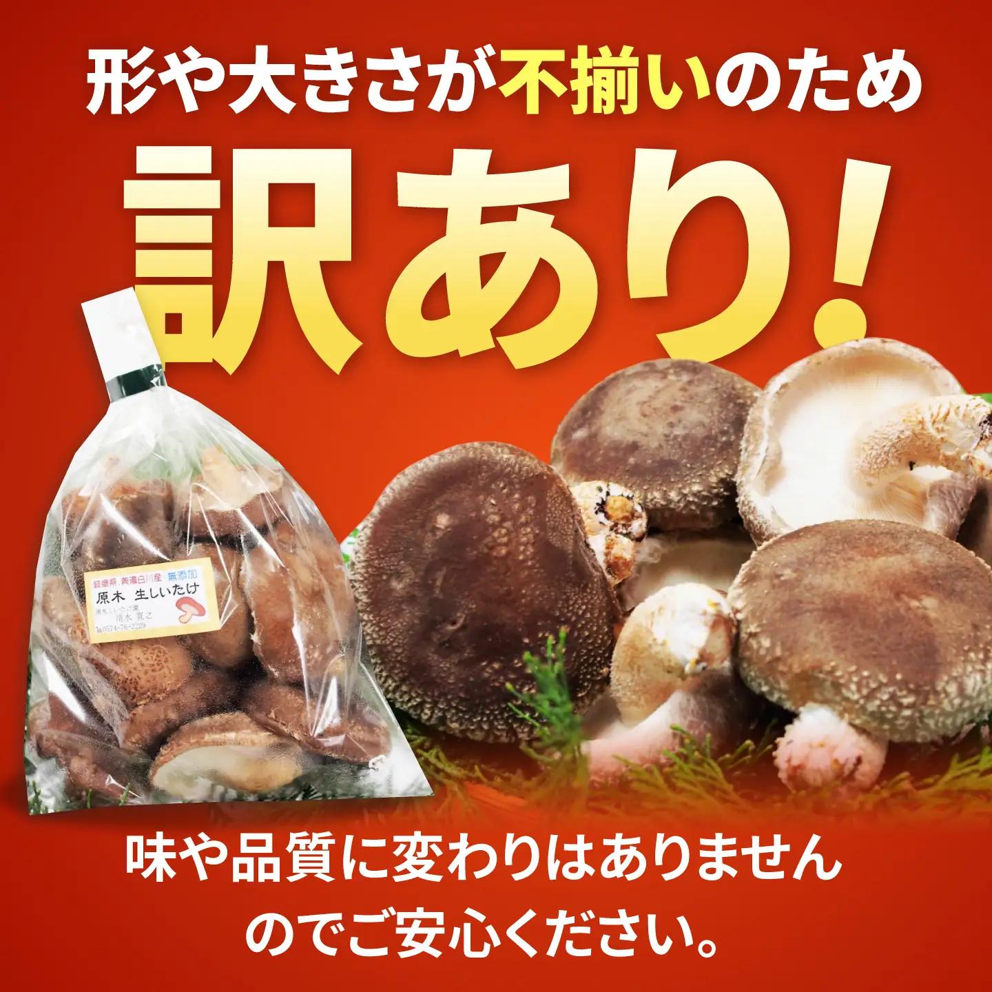 【訳あり】不揃い 原木しいたけ 400g（200g×2袋）清水しいたけ園[AWAY002]訳ありしいたけ