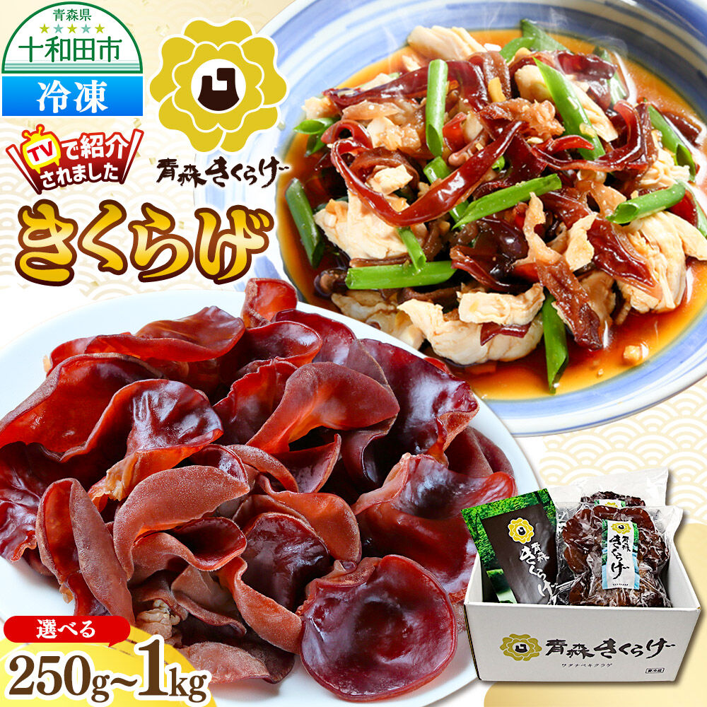 【ふるさと納税】青森きくらげ（冷凍キクラゲ）【選べる内容量：約250g〜約1kg】 十和田市産 [真空パック 国産 冷凍]