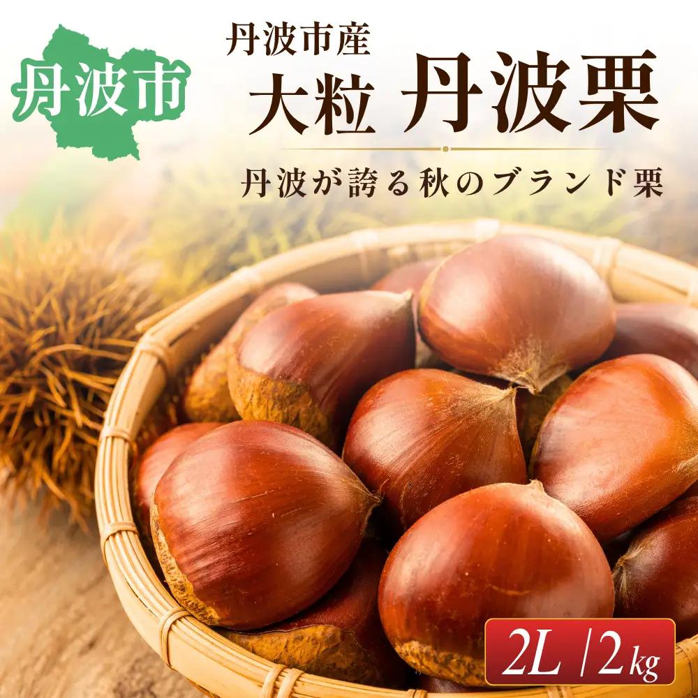 丹波市産　丹波栗　2L・2kg