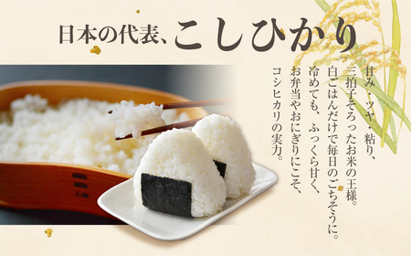 【5kg：12月発送】《令和8年産 新米》こしひかり 5kg 米