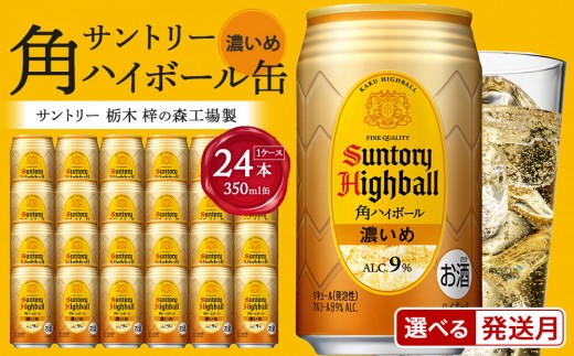 
                  ●【配送月が選べる（3月・4月・5月）】 サントリー 角ハイボール【濃いめ】350ml缶×24本（1ケース）【1月申込限定】 期間限定  ｜ ハイボール 缶 ケース お酒 お取り寄せ ウイスキー ウィスキー SUNTORY サントリー 角瓶 酒 さけ 人気 高評価 おすすめ 栃木市
                