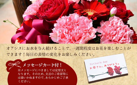 母の日 花 ギフト 母の日 フラワーアレンジメント (ピンク・赤)   椿原園 【北海道・沖縄・その他離島 配送不可】《2026年5月上旬-5月末頃出荷》 