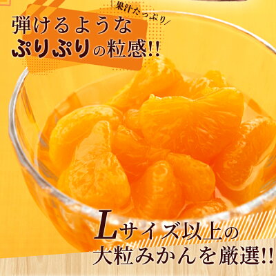 AY6004n_田村みかん 缶詰 8缶セット
