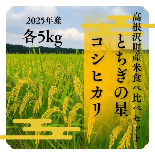 
            高根沢町産とちぎの星5kg、コシヒカリ5kg（精米）食べ比べセット※離島への配送不可※2025年9月中旬頃～12月下旬頃に順次発送予定
          
