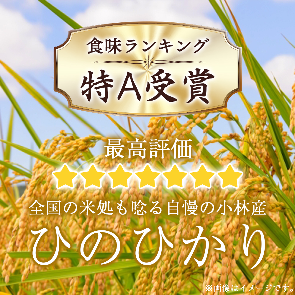 【定期便 全3回】【令和7年産米】ヒノヒカリ 10kg×3回 お米 米 新米 ヒノヒカリ 国産 人気 お弁当 宮崎県 小林市 10kg（5kg×2袋）×3回