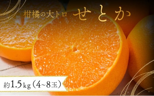【先行予約】みかんの「大トロ」佐賀産かんきつ・せとか 約1.5kg(4-8玉)  / ふるさと納税 佐賀 フルーツ 濃厚 甘い 酸味 大町 贈答 ギフト 贈り物