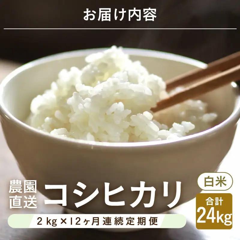 先行予約 定期便 12ヶ月連続お届け コシヒカリ 2kg (1袋) × 12回 計24kg 白米 ブランド米 2026年10月上旬以降順次発送 [F-8914]