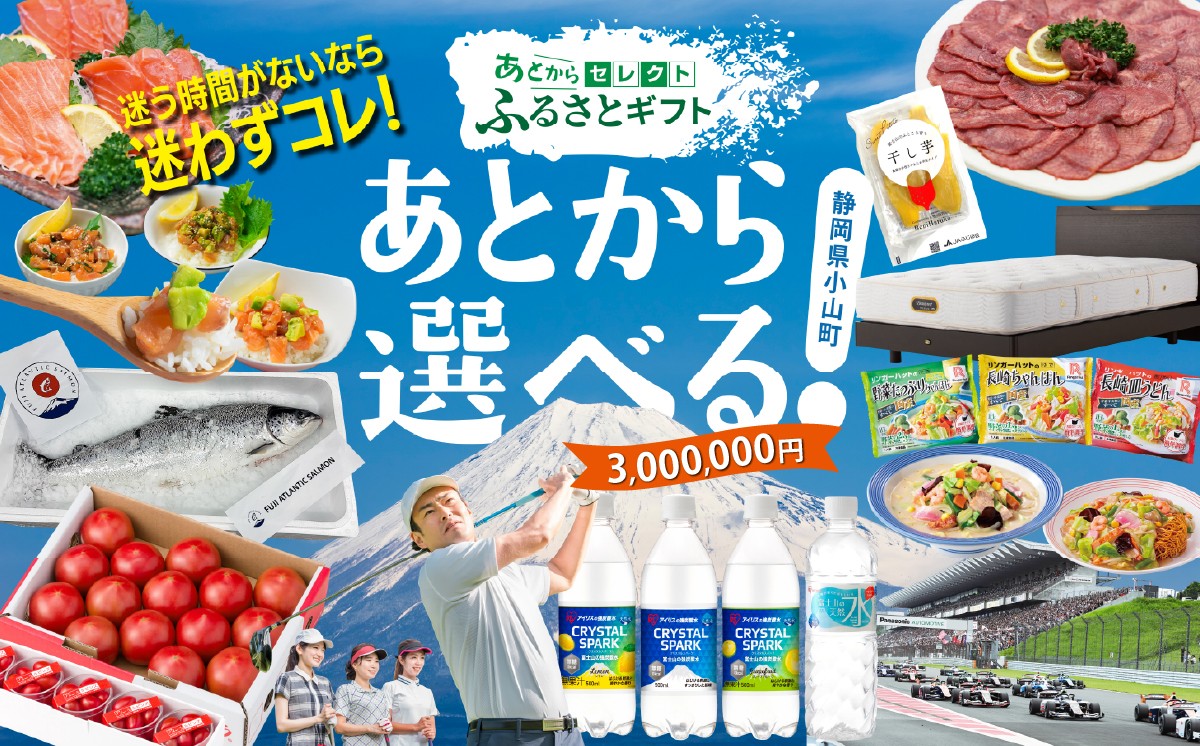 
                  あとからセレクト 【 ふるさとギフト 】 3,000,000円分｜ あとから選べる ギフト ポイント 専用サイト 交換 駆け込み ｜ 特産品 アイリスオーヤマ シモンズ サーモン 牛肉 ギフト券 チケット ゴルフ あとからギフト あとから 静岡県 小山町
                